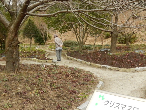 DSCN7613