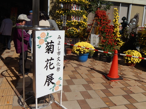 DSCN8139