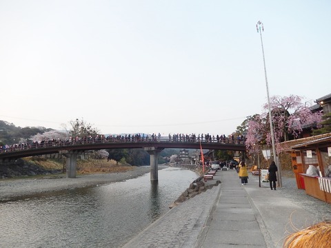 DSCN2213