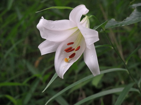 DSCF0025