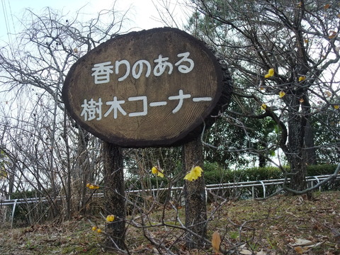 DSCF0029