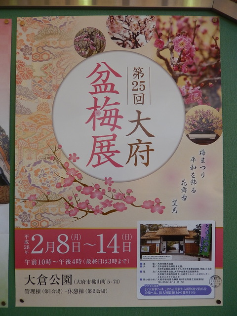DSCN0887