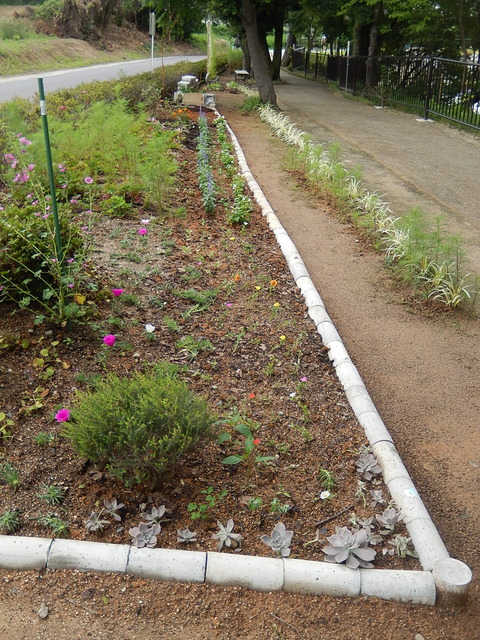 DSCN3769