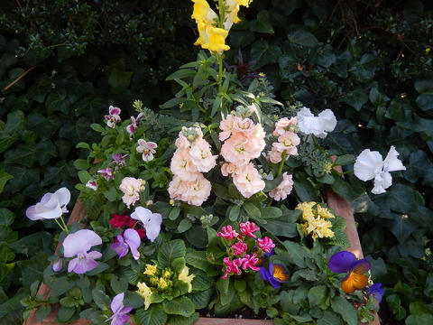 DSCN0363