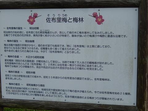 DSCN1753
