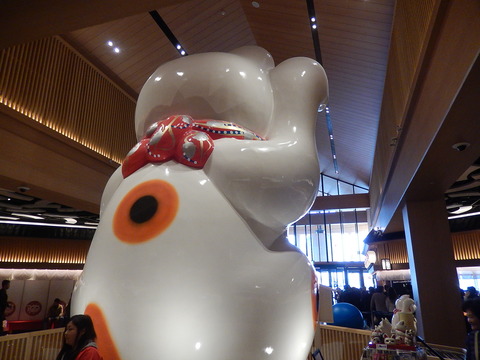 DSCN0537