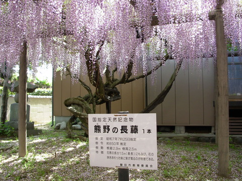 DSCN3488