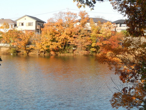 DSCN9416