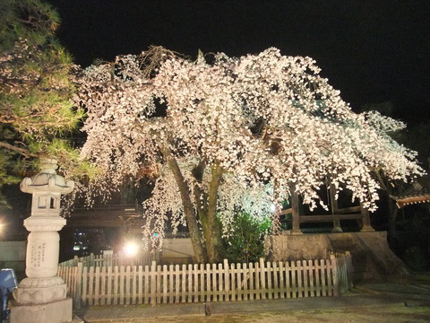 DSCF0062
