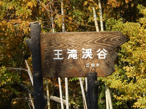 DSCN9338