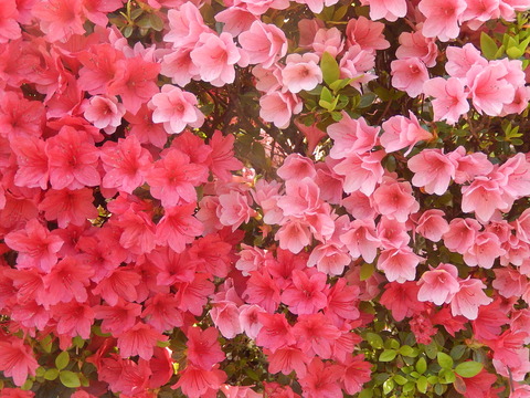 DSCN1209
