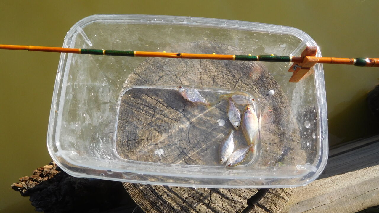 タナゴ仕掛け用クリップバイス やまめ１１０番