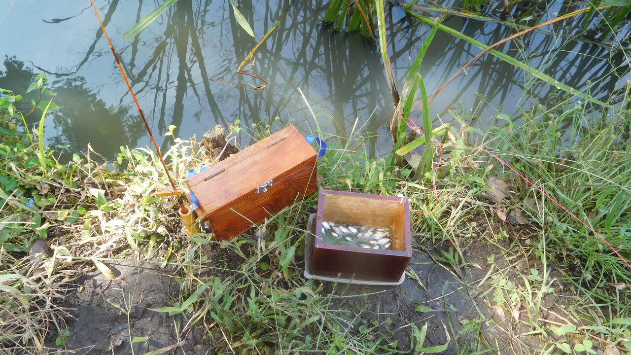 合切小箱を持ってタナゴ釣り やまめ110番 合切小箱を持ってタナゴ釣り やまめ110番