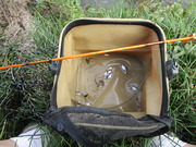 タナゴ野釣り (3)