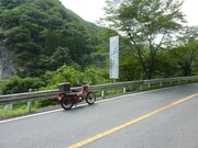 メロディーライン