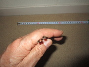 2.6尺タナゴ竿作り (15)