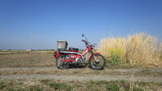 CT110 (2)