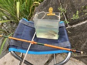 タナゴ釣り