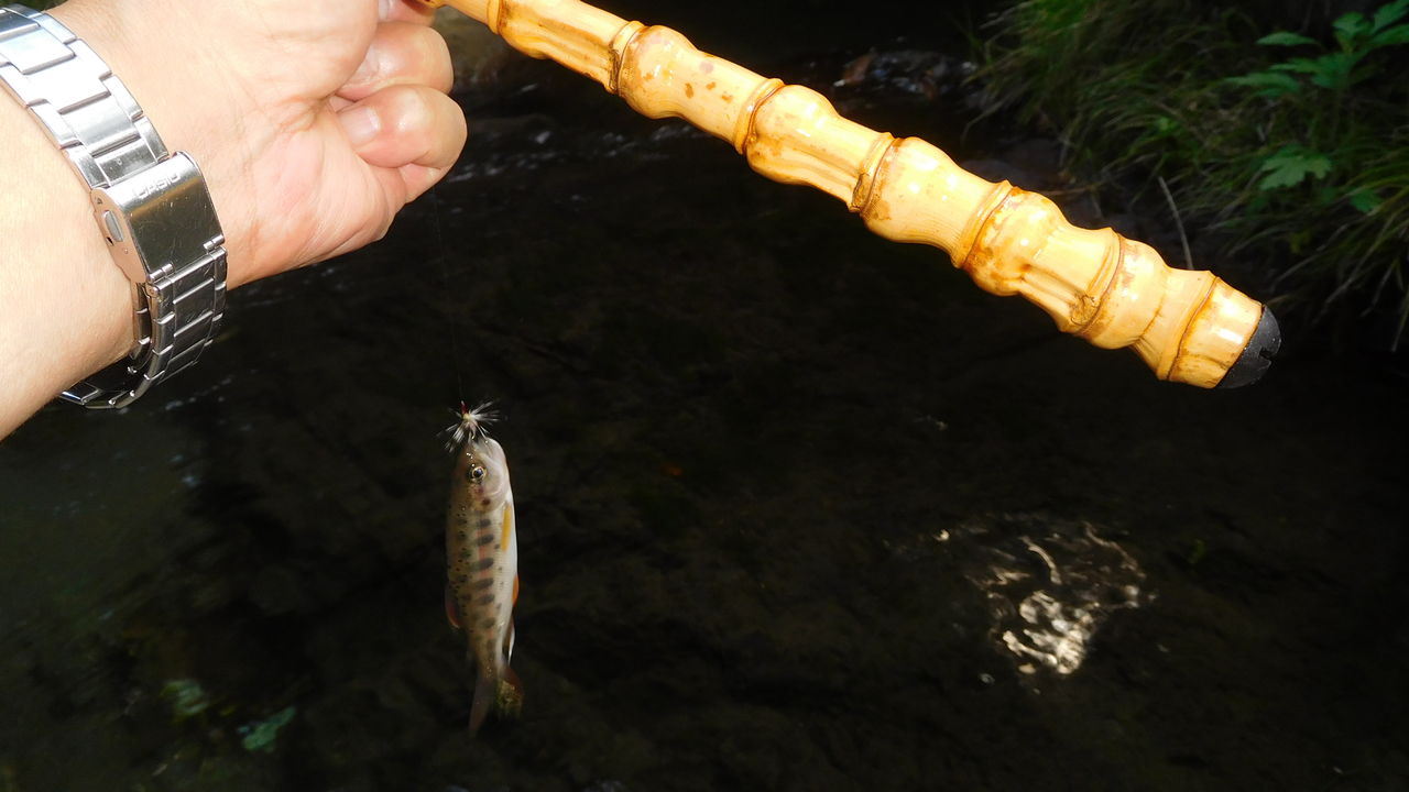18年01月05日 やまめ１１０番
