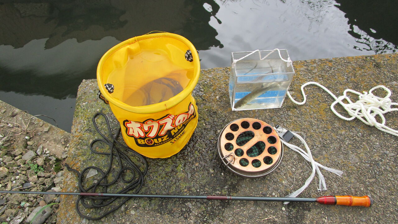 いつもの場所で鮒釣り : やまめ110番