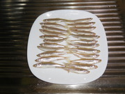 ワカサギ