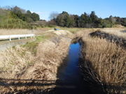 ビデオポイント