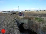 P1060830のコピー