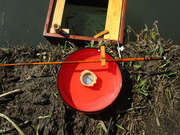 一円玉スケール