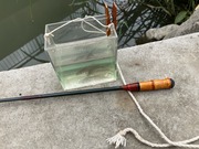 タナゴ釣り (4)