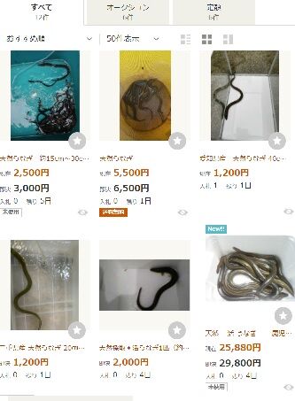 unaginohokakuseigenn