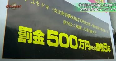 罰金500万円