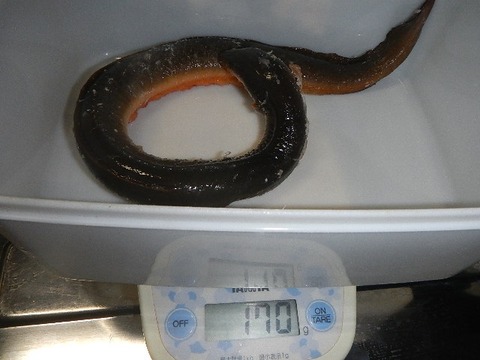 170g