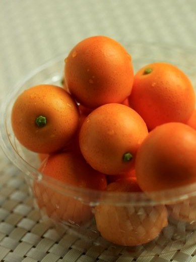 20130330furuburakinkan-777