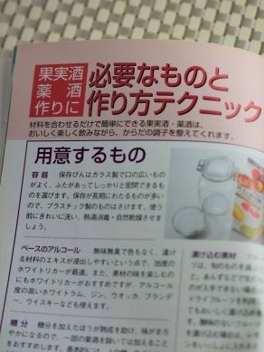 20130130kajitushubook-002