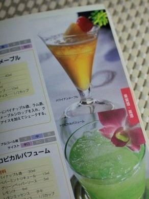 20130130kajitushubook-004