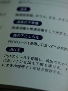20130514hajimetenoumeshu-007
