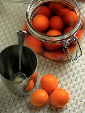 20130330furuburakinkan-102