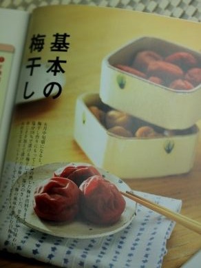 20130515umeboshiumeshuumerecipi-002