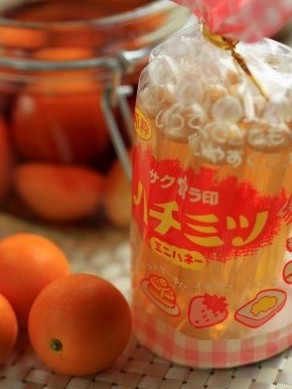 20130330furuburakinkan-103