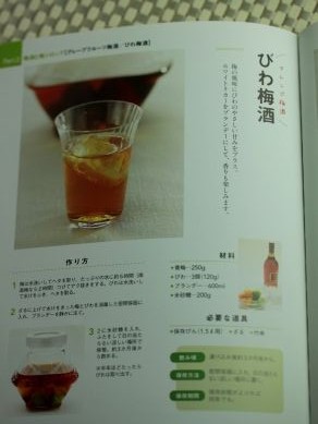 20130515umeboshiumeshuumerecipi-007