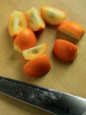 20130330furuburakinkan-104