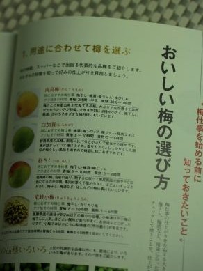 20130515umeboshiumeshuumerecipi-001