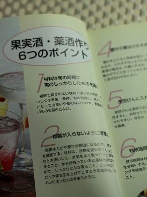 20130130kajitushubook-001