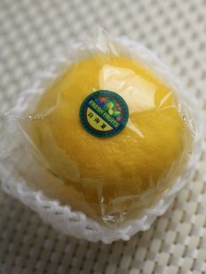 20130312hyuganatu-001