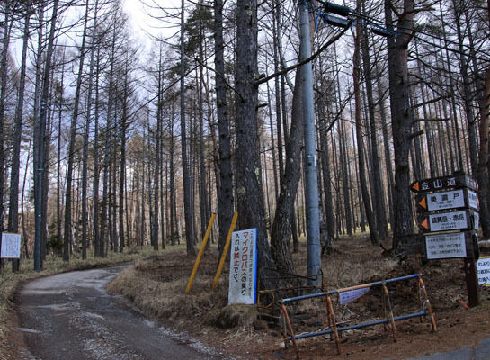 20160226yatugatake-003.jpg