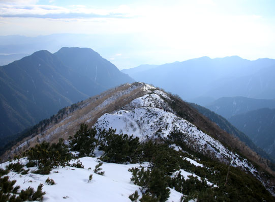 20141123tubakuro-014.jpg