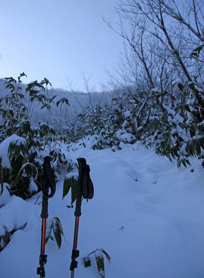 20161104amakazariyama-022.jpg