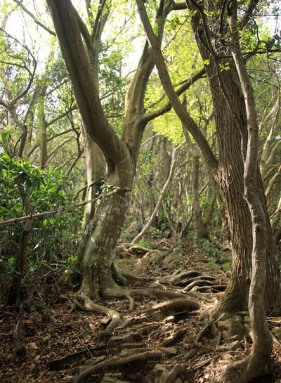 20150521numadu-013.jpg