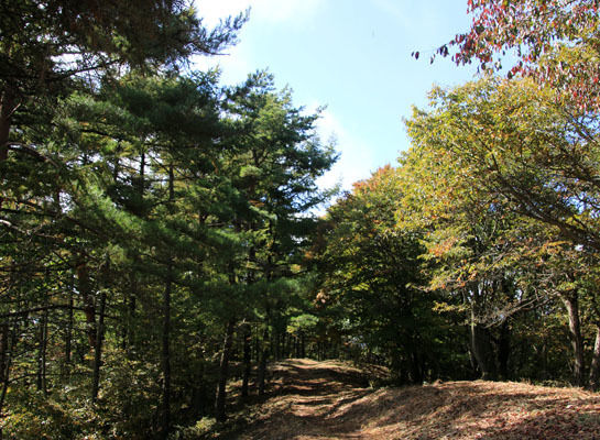 20151018ogiyama-016.jpg
