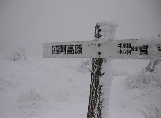 20161210azumayasan-015.jpg